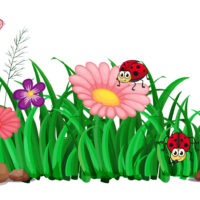 Garten- und Kinderfest am 28/06/2025