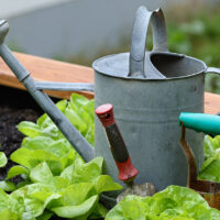 Gartenfachberater/-in gesucht