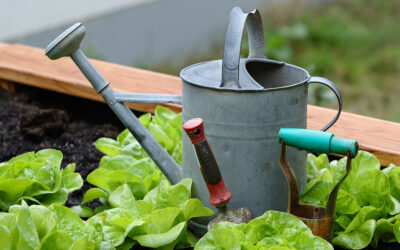 Gartenfachberater/-in gesucht